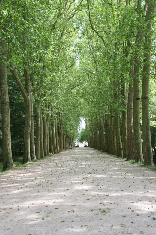 Chenonceau, France 2006