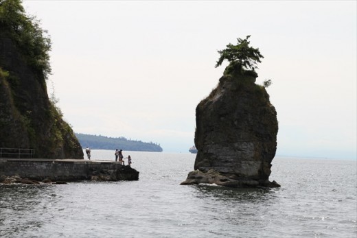 Tree on the rock by Stanley Park, 2010 LG